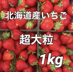期間限定！！北海道栗山町産 ファームうかわ 超大粒苺 正品 箱込み1kg生いちごのサムネイル
