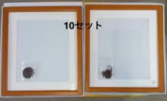 フォトフレー厶　スタジオアリス　額縁　四つ切　10セット フォトフレー厶 スタジオアリス 額縁 四つ切 10セット - メルカリ