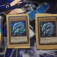 青眼の白龍×2のサムネイル