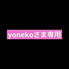 基本刑法 1 (総論) 第３版のサムネイル