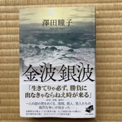 金波銀波 澤田瞳子 中央公論新社のサムネイル