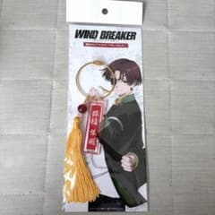 【新品未使用】WIND BREAKER＊蘇芳のピアスモチーフキーホルダー