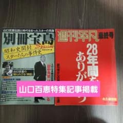 別冊宝島 昭和史開封 スターたちの事件史」&「週刊平凡 最終号
