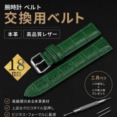 a47)18mm 腕時計交換ベルト グリーン 本革 クロコ型押しバネ棒+はずし