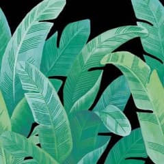 マメタロ様専用のサムネイル