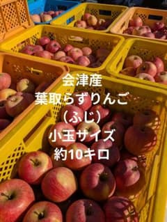 会津産 葉取らずりんご（ふじ） 小玉サイズ　約10キロのサムネイル