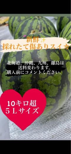 《長野県産》売り尽くし訳ありスイカ5Lのサムネイル