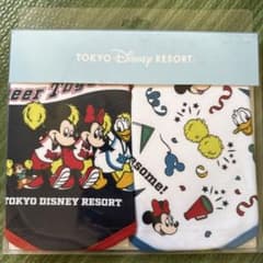 東京ディズニーリゾート スタイ 2枚セットのサムネイル
