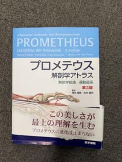 プロメテウス解剖学アトラス 解剖学総論/運動器系 第3版 - メルカリ