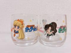 Pretty Guardian Sailor Moon Glasses (Set of 2)