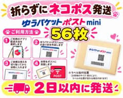 56枚☆ゆうパケットポストmini 専用封筒 新品未使用品 匿名配送 帯付き