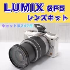 ✨現状品✨LUMIX GF5 ショット数247回 動作良好 ミラーレス一眼 ✨現状品✨LUMIX GF5 ショット数247回 動作良好 ミラーレス一眼