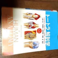 下伊那様専用 ★トートラ解剖学のサムネイル