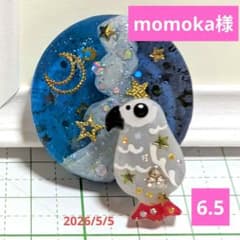 momoka様 6.5 ヨウム レジンヘアゴム 天の川 キラキラヨウム - メルカリ