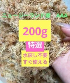 特選【ふわふわ水苔】NZ産AAA水戻し不要ですぐ使える130gネコポス配送のサムネイル