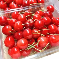 限定特価！クール便 さくらんぼ『紅てまり』大玉3L350g×2パック 山形直送 限定特価！クール便 さくらんぼ『紅てまり』大玉3L350g×2パック 山形