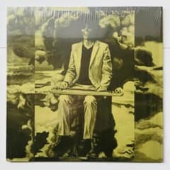 ●レコード 坂本慎太郎 ナマで踊ろう 国内盤 ゆらゆら帝国 m82594882364_1.jpg?1727347699