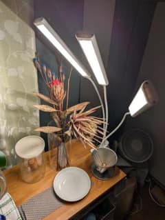 BRIM(ブリム) FLORA 植物育成ライト LED クリップライトのサムネイル