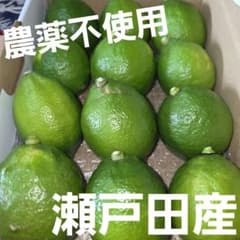 広島県瀬戸田産　グリーンレモンのサムネイル