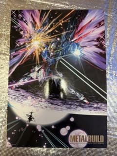 ジャンク品 メタルビルド デスティニーガンダム フルパッケージ 光の翼