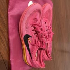 NIKE ドラゴンフライ ピンクカラー 26cmのサムネイル