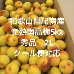 和歌山県紀南産 完熟南高梅5㎏ 秀品 2L - メルカリ