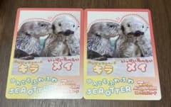 鳥羽水族館 コレクションカードVOL.2 メイ キラ ノーマル 2枚セットのサムネイル