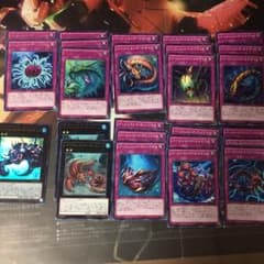 遊戯王 バージェストマ デッキ パーツのサムネイル