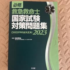 必修 救急救命士国家試験対策問題集 2023のサムネイル