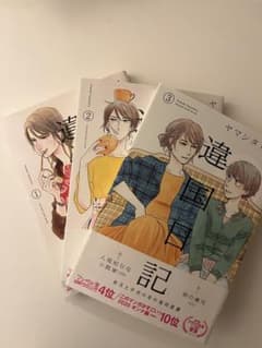 違国日記 1.2.3巻　異国日記　ヤマシタトモコのサムネイル