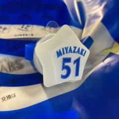 横浜ベイスターズ　ブラインドブルーライトシャイニースターリングのサムネイル