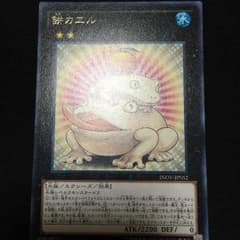 餅カエルのサムネイル