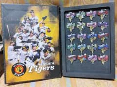 2026年阪神タイガースFC応援デーシークレットピンズ20種類コンプリート