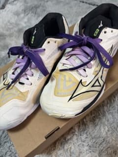 Mizuno ウェーブライトニング　 バレーボールシューズZ7 24.0のサムネイル