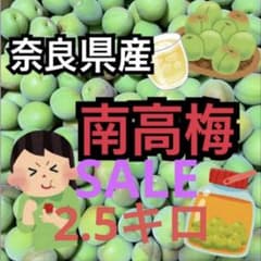 나라현산 미나미타카우메 2.5kg