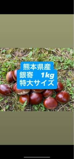熊本県産 銀寄 1kg 特大サイズ 栗のサムネイル