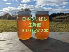 日本みつばち　生蜂蜜　非加熱　国産純粋　日本蜜蜂蜂蜜　#2のサムネイル
