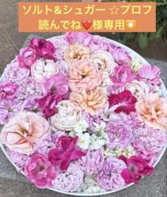 ソルト&シュガー ☆プロフ読んでね❤️様専用✴️ - メルカリ