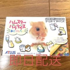 Nintendo ゲームボーイアドバンス ゲームソフトハムスターパラダイス 希少 Nintendo ゲームボーイアドバンス ゲームソフトハムスターパラダイス