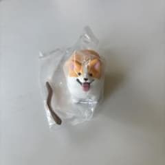 いい感じの棒をゲットした犬 / コーギーのサムネイル