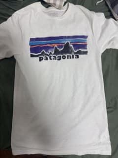 Patagonia graphic t-shirt