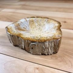 [0] 珪化木 15×10cm (すり鉢加工/磨き上げ) 0] 珪化木 15×10cm (すり鉢加工/磨き上げ) - メルカリ