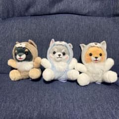 콩 시바 삼형제 3종 세트