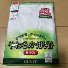 GUNZEメンズ肌着 半袖V首 2枚組 Mサイズ　未使用のサムネイル