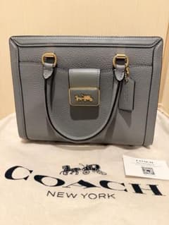 COACH ハンドバッグ ブルーグレー パイソン柄 - メルカリ