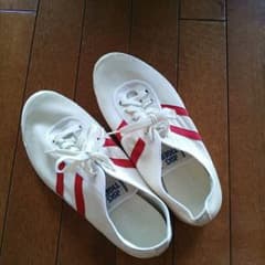 asics TIGER,スニーカー,上履き,体育館シューズ,美品,26㎝のサムネイル