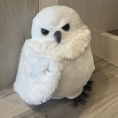 魔法のシロフクロウぬいぐるみファンタジーウルトラBIG・T約40cm(タグ付き)のサムネイル