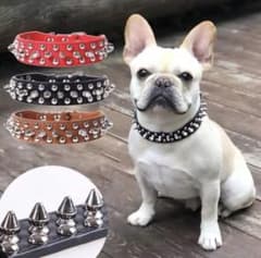 売り切りたいのでコメント下さい❁¨̮ の出品した商品 - メルカリ