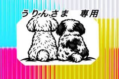 うりんさま　専用出品ですのサムネイル
