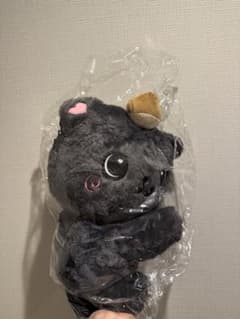 nct wish リク キャラクターバッグ ソウルコン MD カバン クリ - メルカリ